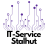 IT-Service-Stalhut