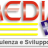 media2