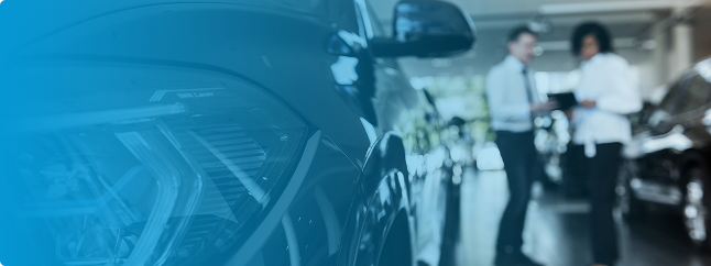 Auto-hospedado