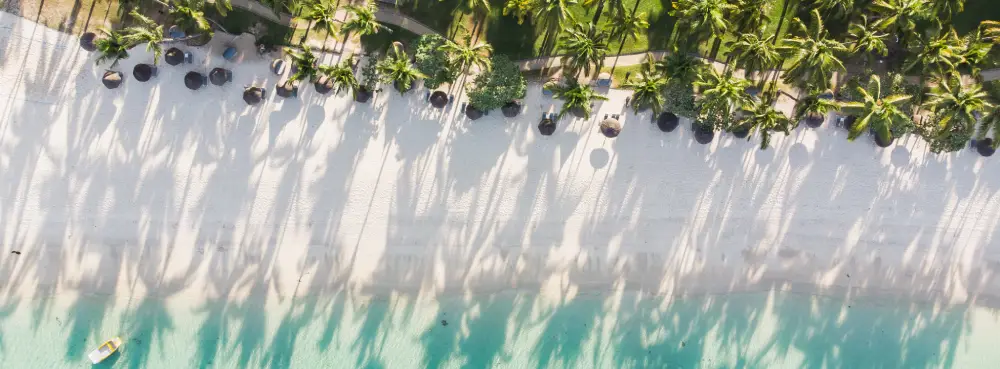estudo cado club med