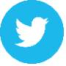 Ícone do Twitter